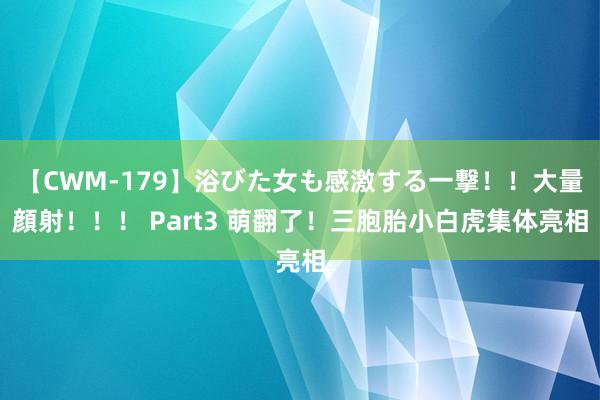 【CWM-179】浴びた女も感激する一撃！！大量顔射！！！ Part3 萌翻了！三胞胎小白虎集体亮相