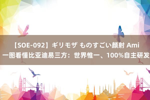 【SOE-092】ギリモザ ものすごい顔射 Ami 一图看懂比亚迪易三方：世界惟一、100%自主研发