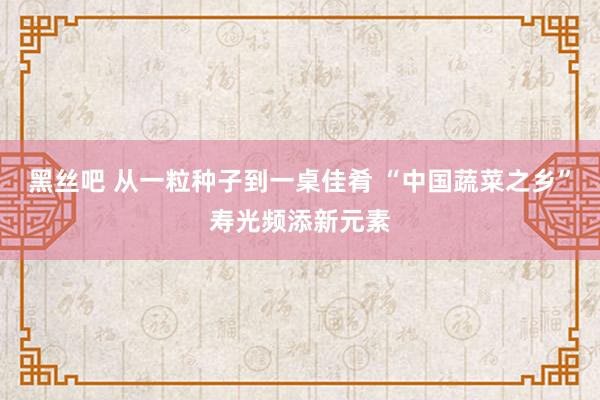 黑丝吧 从一粒种子到一桌佳肴 “中国蔬菜之乡”寿光频添新元素