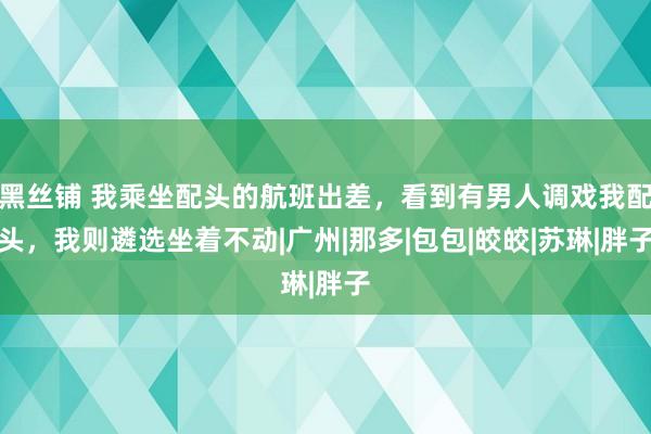 黑丝铺 我乘坐配头的航班出差，看到有男人调戏我配头，我则遴选坐着不动|广州|那多|包包|皎皎|苏琳|胖子