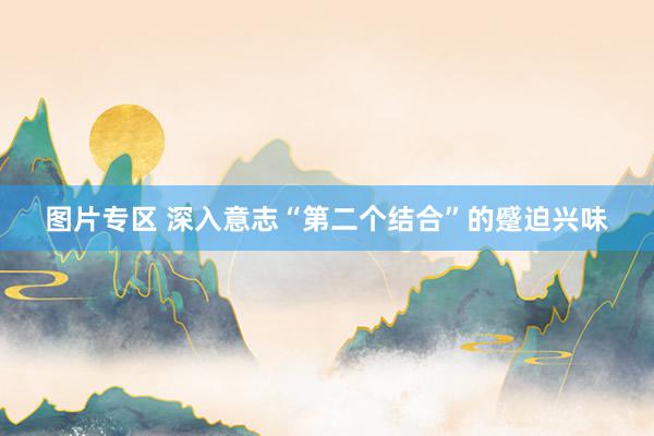 图片专区 深入意志“第二个结合”的蹙迫兴味