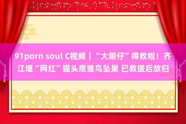 91porn soul C视频｜“大眼仔”得救啦！齐江堰“网红”猫头鹰雏鸟坠巢 已救援后放归